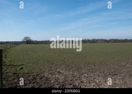 M25 Colne Valley Motorway Service Area proposed site, Iver Heath, Bucks - planning application PL/20/4332/OA Stock Photo