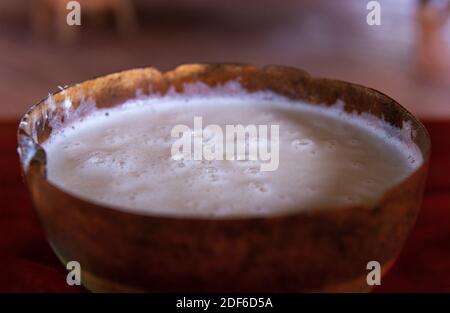 Fermented alcoholic yuca beer called Chicha in a wooden bowl, Amazon Rainforest, Ecuador. Stock Photo