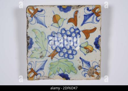 wall tile, Anonymous, first half of the 17th century, tin glaze, earthenware, General: 11.8 x 11.6 x 1.8cm (118 x 116 x 18mm), bunch of grapes, Northern Netherlands, Earthenware wall tile covered with tin glaze. The tile is multicolored painted in green, blue, yellow and orange brown with a blue pull. Bunch of grapes with leaves is depicted on the tile. The tile has a lily as a corner motif, 1985 Stock Photo