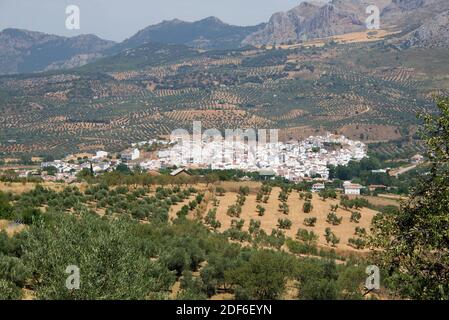 El Burgo, surrounded by olive trees. Sierra de las Nieves Natural Park, Malaga province, Andalucia, Spain.