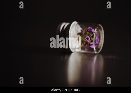 Tiny purple flowers in a small glass bottle. Stock Photo