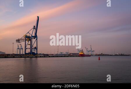 Container terminal in the port of Zeebrugge at sunset. View from the viewing platform near the monument 'Vissers Stock Photo