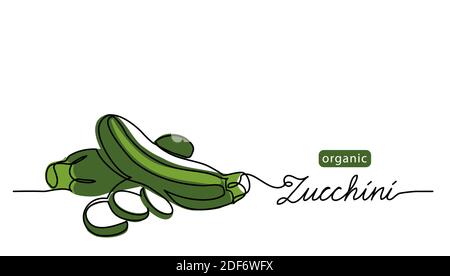Zucchini, green marrow, courgette or squash vector illustration. One line drawing art illustration with lettering organic zucchini Stock Vector
