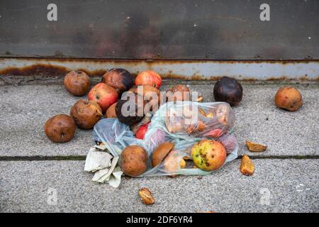 Rotten apples on pavement Stock Photo