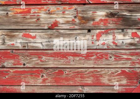 Old wooden board texture background Stock Photo