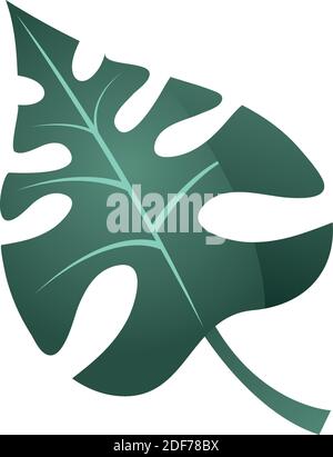 tropical leaf monstera palm and exotic icon over white background vector illustration Stock Vector