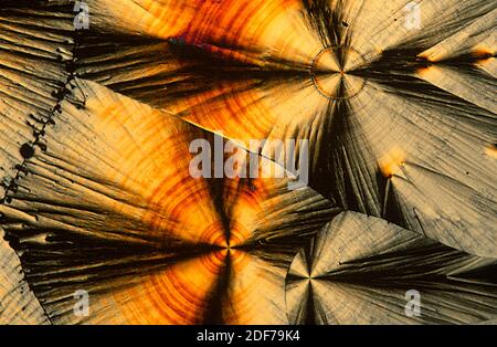 Vitamin C or ascorbic acid is an important antioxidant and collaborate with the immune system. Photomicrograph, polarized light.