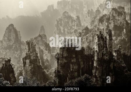 Iconic quartzite sandstones pillars & peaks in Wulingyuan / Zhangjiajie National Forest Park in Hunan Province, China. Unique mountain landscape inscr Stock Photo