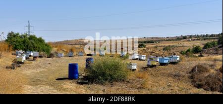 Bee hives on old car tires in brown, dry landscape of rural southern Cyprus Stock Photo