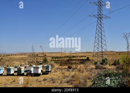 Bee hives on old car tires in brown, dry landscape of rural southern Cyprus with electricity pylons and power lines Stock Photo