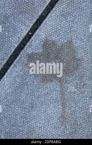 Impression of a fallen autumn leaf on a footpath after it had rotted away, Brixton, London Stock Photo