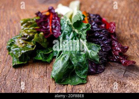 colorful raw wet chard on wood Stock Photo