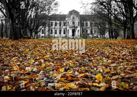 Old abandoned palace, manor in the autumn forest Stock Photo