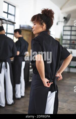 Divserse group of chefs cooking in kitchen Stock Photo