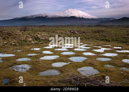 water holes in meadow and snowy volcano Etna