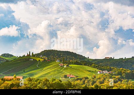 Landscape of vineyards in Austria, South Styria Stock Photo
