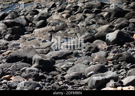 Volcanic rocks structure smooth lava stone background texture. Stock Photo