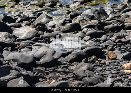 Volcanic rocks structure smooth lava stone background texture. Stock Photo