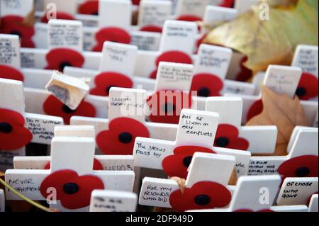 Armistice Day Poppies on Small Crosses for Remembrance Day Stock Photo