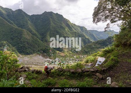 Banaue, Philippines, 27th December 2019. A Native collecting some herbs for cooking