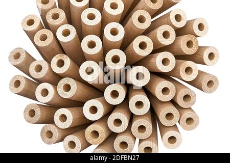 Wooden flower from turned legs, concept. Turned wooden legs folded like a flower isolated on white background Stock Photo