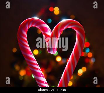 Two Christmas Candy Canes in Heart Shape Stock Photo