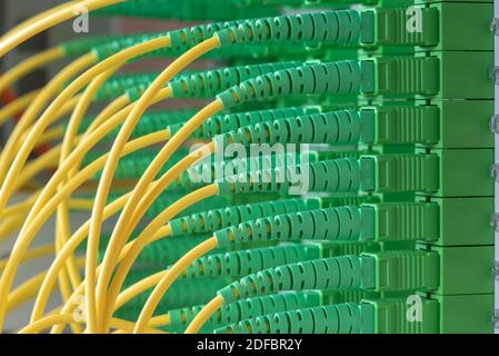 Passive optical network distribution panel with patch cord cables close-up Stock Photo