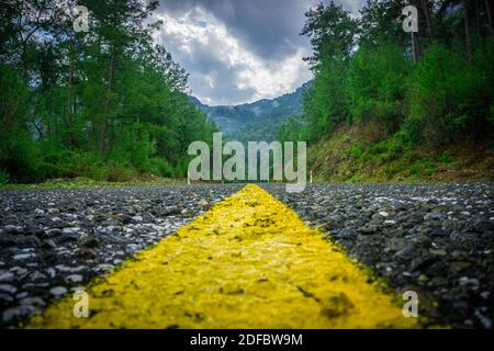 Country road between forest. Atmospheric scene with asphalt road. Close up shooting. Stock Photo
