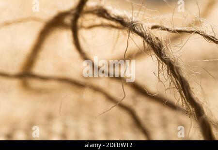 Macro linen rope and texture Stock Photo