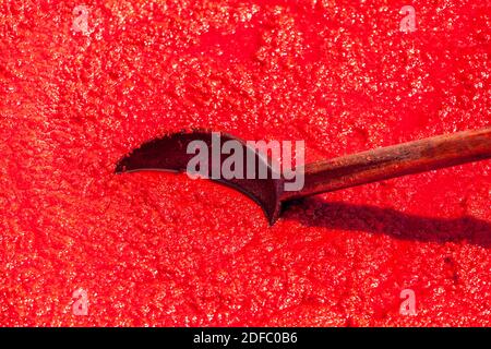 Capia pepper paste drying in the sun Stock Photo