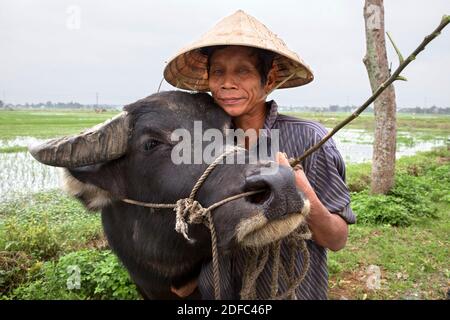 Man with buffalo and conical hat near 