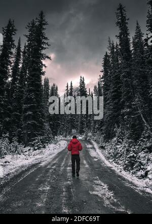 Man traveler walking on dirty road in the forest with snow covered at Yoho national park, Canada Stock Photo