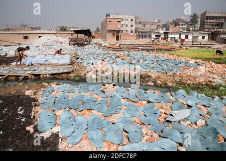 Bangladesh, Dhaka, Hazaribagh district, one of the most polluted places in the world due to the waste produced by more than 2000 tanneries Stock Photo