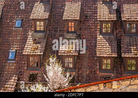 Impressions of the village and the palace and monastery complex of Bebenhausen near Tübingen, Baden-Württemberg, Germany. Stock Photo