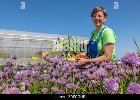 CHRISTELLE, MARKET GARDENER AT THE TERRE FERME, WITH A BASKET OF HER PRODUCE, CHERONVILLIERS, EURE, NORMANDY, FRANCE, EUROPE Stock Photo
