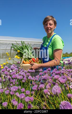 CHRISTELLE, MARKET GARDENER AT THE TERRE FERME, WITH A BASKET OF HER PRODUCE, CHERONVILLIERS, EURE, NORMANDY, FRANCE, EUROPE Stock Photo