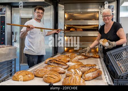 PRODUCTION OF ORGANIC BREAD BY BLANDINE ZOUTARD, MESNIL-SUR-ITON, EURE, NORMANDY, FRANCE, EUROPE Stock Photo