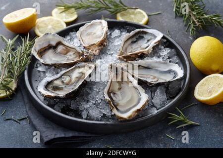 Fresh opened oysters on ice, textured background Stock Photo