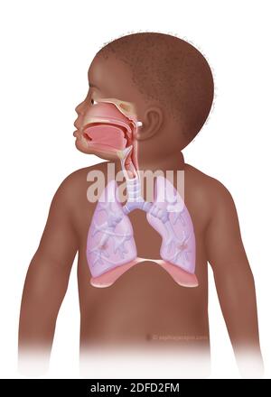 Ent and pulmonary tract children Stock Photo