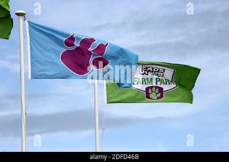 Heads of Ayr Farm Park, Ayr, South Ayrshire, Scotland, UK Stock Photo