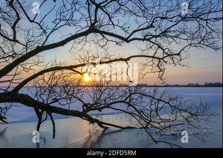 Wintersonne am Duemmer See Stock Photo