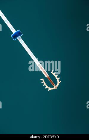 Close-up of an Intra-Uterine contraceptive. Stock Photo