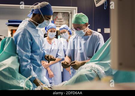 Medical students (external) in the operating room observing a professor and an intern during an operation (Urethrotomy) under endoscopy, Department of Stock Photo