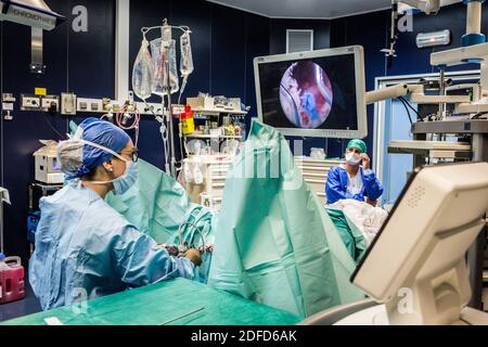 H.O.L.E.P (Holmium laser enucleation of the prostate) prostate enucleation and fragmentation of bladder stones, Holmium laser treatment of prostate ad Stock Photo