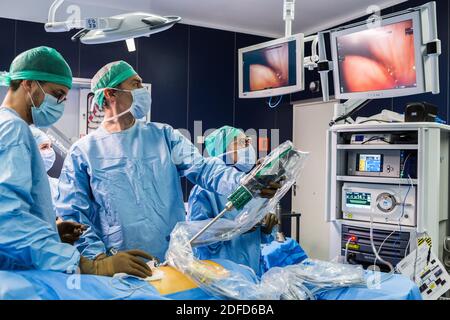 Image-guided robotic conservative renal surgery assisted by 3D modeling, This 3D modeling of the kidney with its tumor located in purple, guides the s Stock Photo