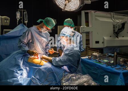 Image-guided robotic conservative renal surgery assisted by 3D modeling, This 3D modeling of the kidney with its tumor located in purple, guides the s Stock Photo