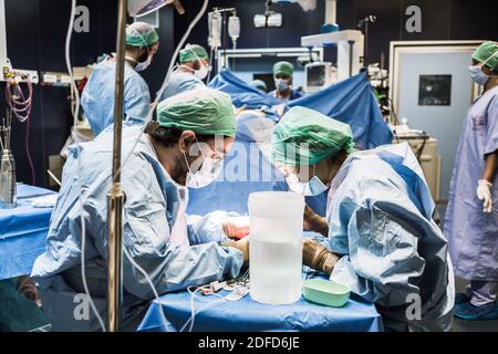 Kidney removal by laparoscopy from a living related donor, the surgeon retrieves and prepares the kidney stored in a cold solution while awaiting the Stock Photo