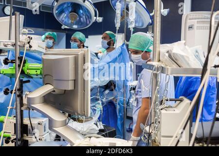 Kidney removal by laparoscopy from a living related donor, Bordeaux hospital, France. Stock Photo