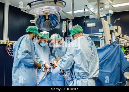 Kidney removal by laparoscopy from a living related donor, Bordeaux hospital, France. Stock Photo