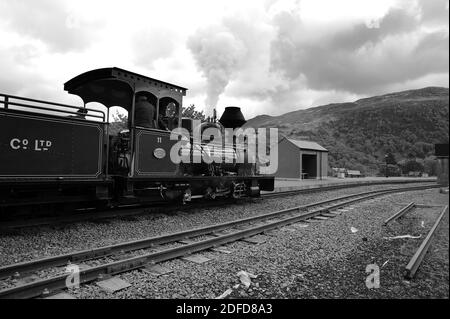 'Fiji' at Beddgelert. Stock Photo